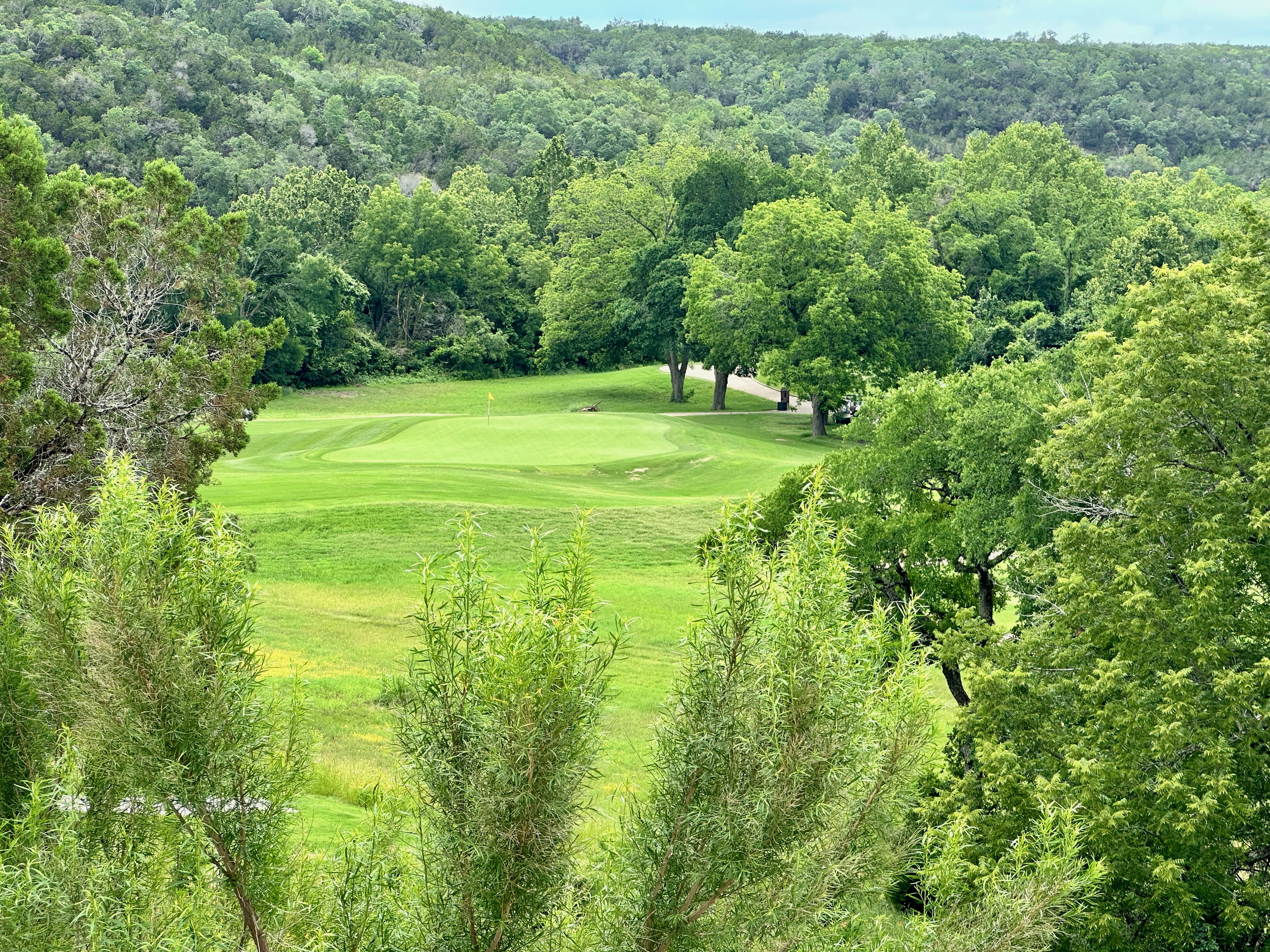 Twin Creeks Golf Community in Cedar Park Texas - Pros and Cons