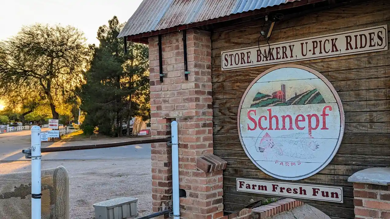 Upcoming Events & Year-Round Fun at Schnepf Farms in Queen Creek, AZ