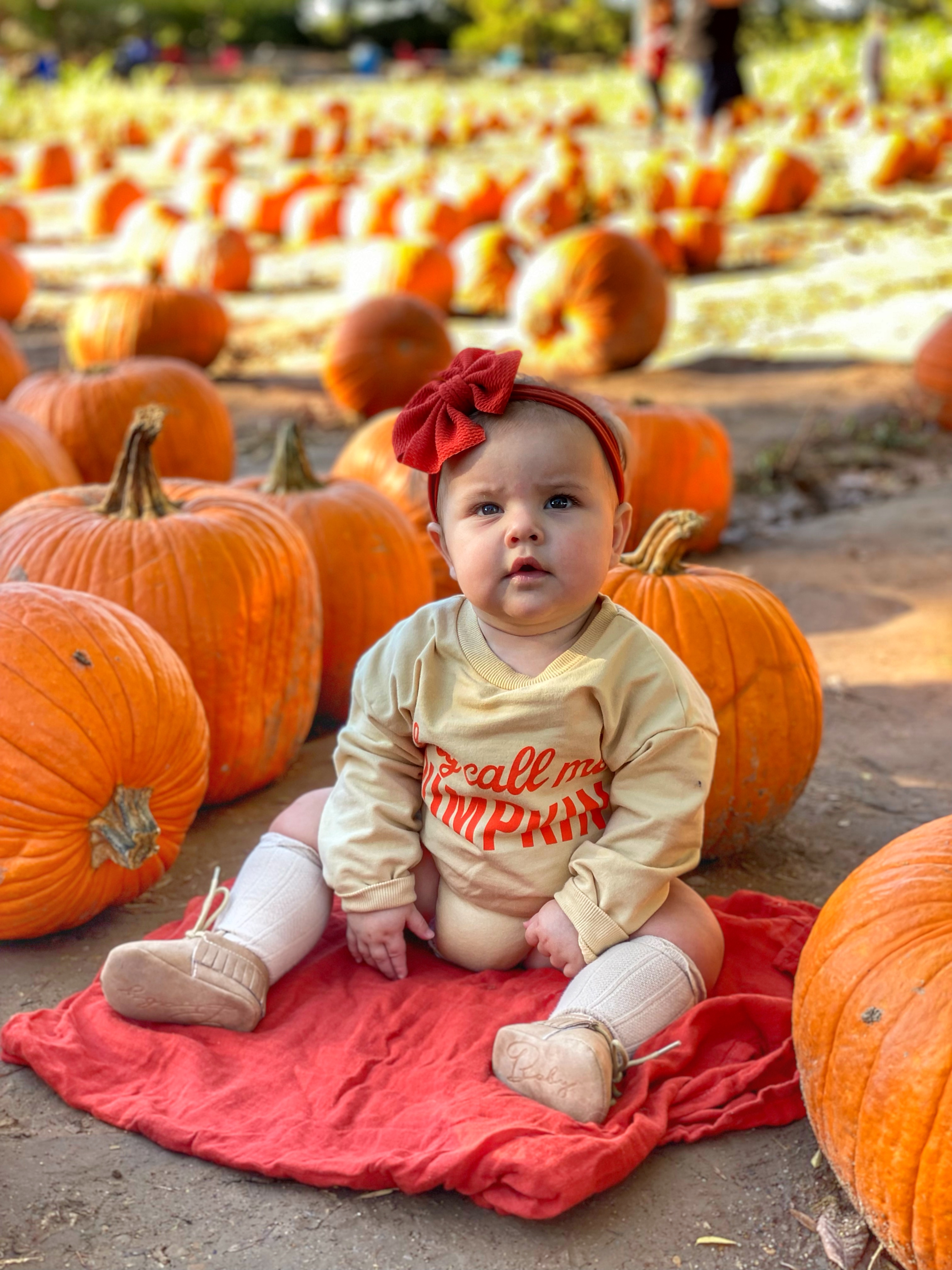 Schnepf Farms Pumpkin & Chili Party 2025: Your Complete Guide