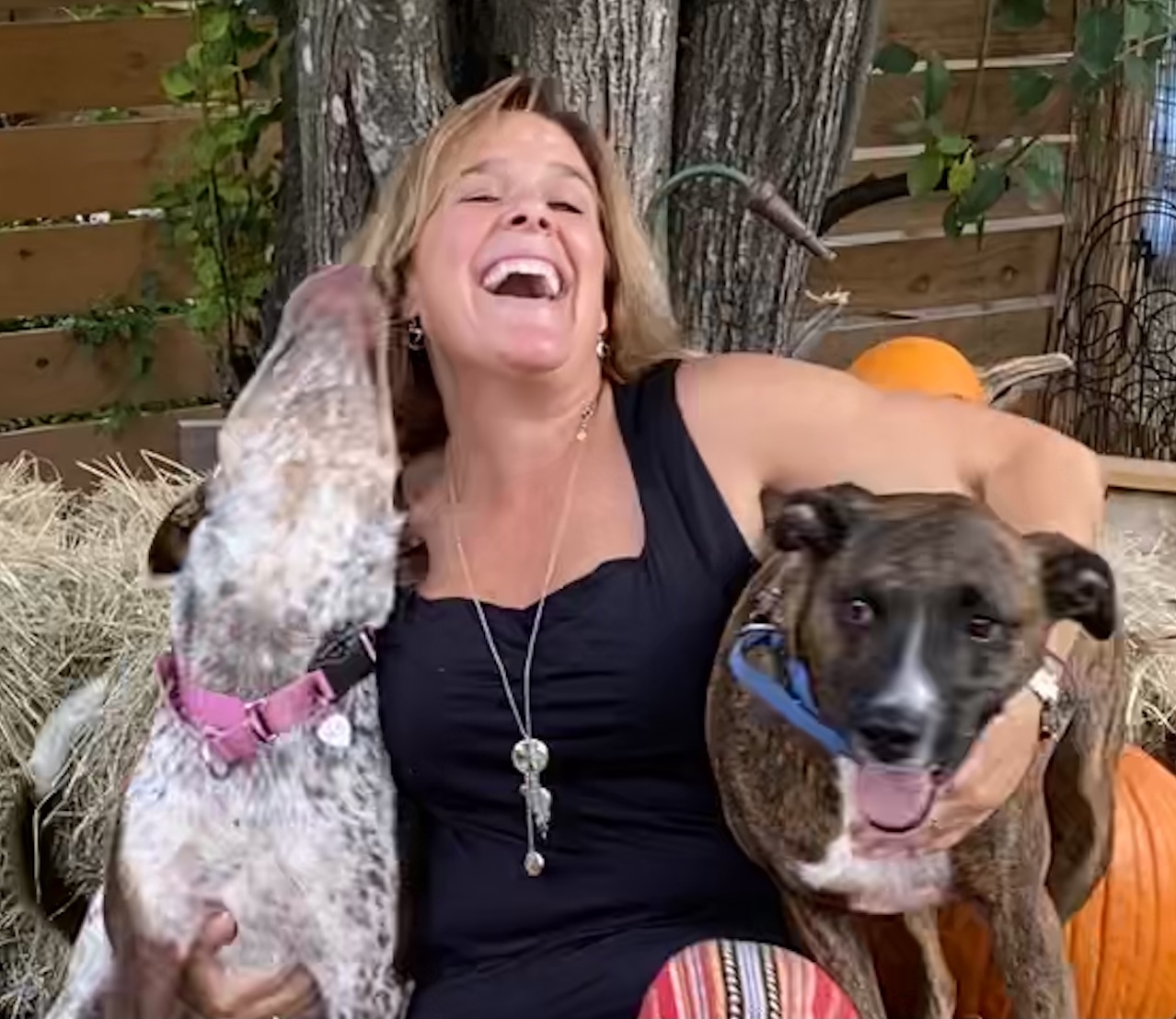 Austin Humane Society Rags to Wags Gala