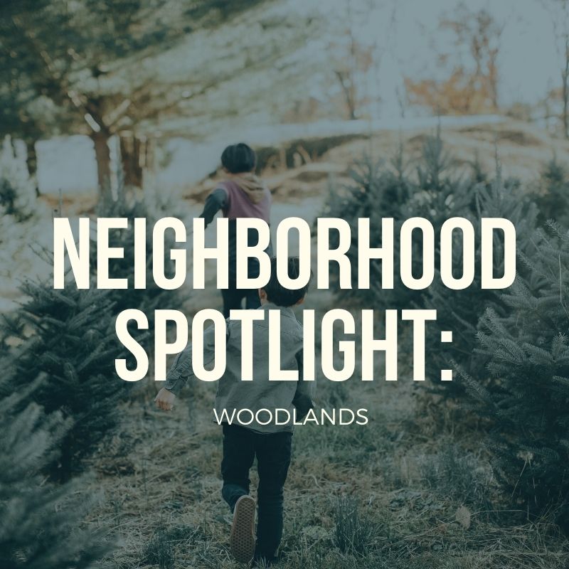 Neighborhood Spotlight: The Woodlands