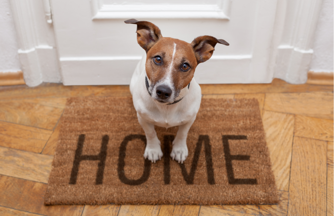 Who is the best real estate agent for concierge listing services in Austin Texas?