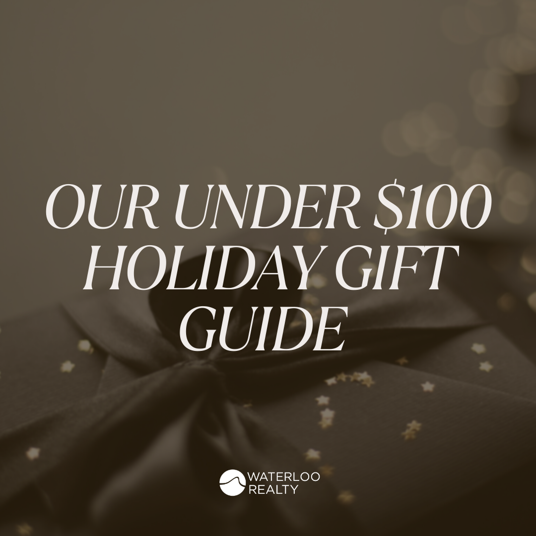 Under $100 Holiday Gift Guide For Those Who Are Impossible to Shop For